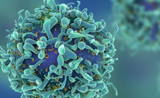 Baba Vanga'dan 2021 Sevincimizi Zehir Eden Kehanet galerisi resim 7