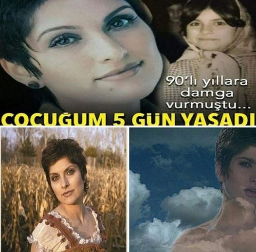 ŞÜKRİYE TUTKUN galerisi resim 1