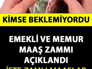 Emekli ve Memur Maaşlarına Yapılacak Zam Açıklandı