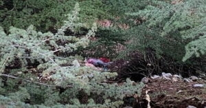 13 gündür galerisi resim 3