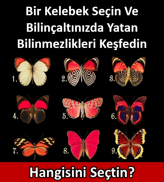 Kelebeklerden birini seçin ve bilinçaltınızda yatan bilinmezi keşfedin galerisi resim 1