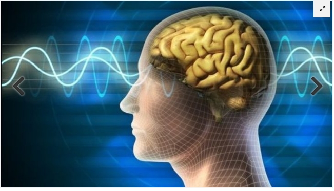 Kelebeklerden birini seçin ve bilinçaltınızda yatan bilinmezi keşfedin galerisi resim 5