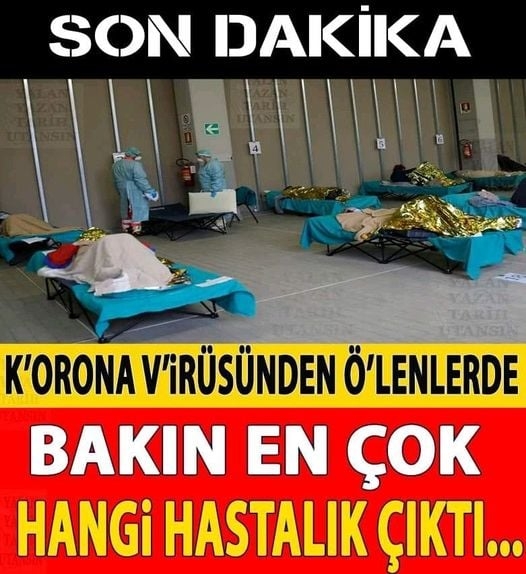 Bakın en çok Hangi hastalık çıktı galerisi resim 1