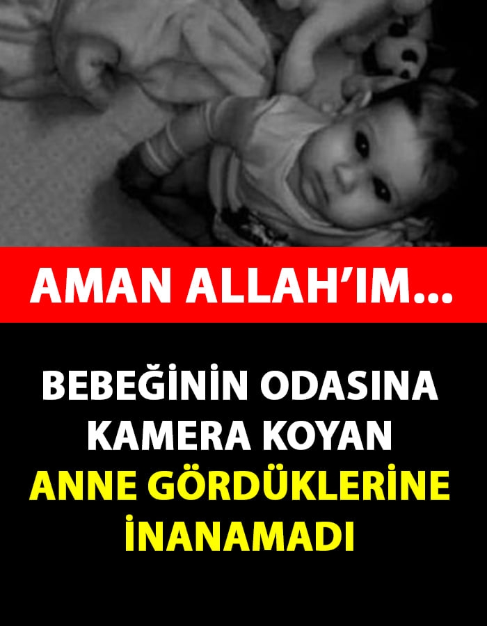 Gördüklerine İnanamadı galerisi resim 1