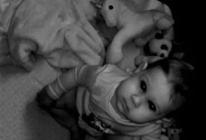 Gördüklerine İnanamadı galerisi resim 12