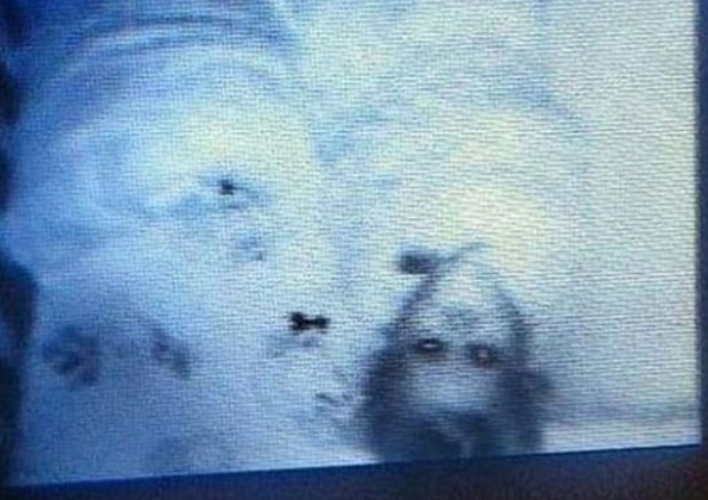 Gördüklerine İnanamadı galerisi resim 9