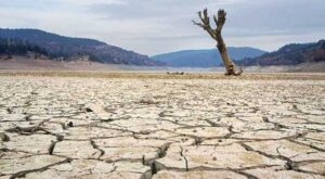 Her yerden kötü haber geldi. galerisi resim 4