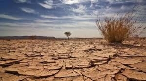 Her yerden kötü haber geldi. galerisi resim 5