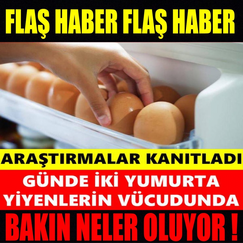 YUMURTA galerisi resim 1