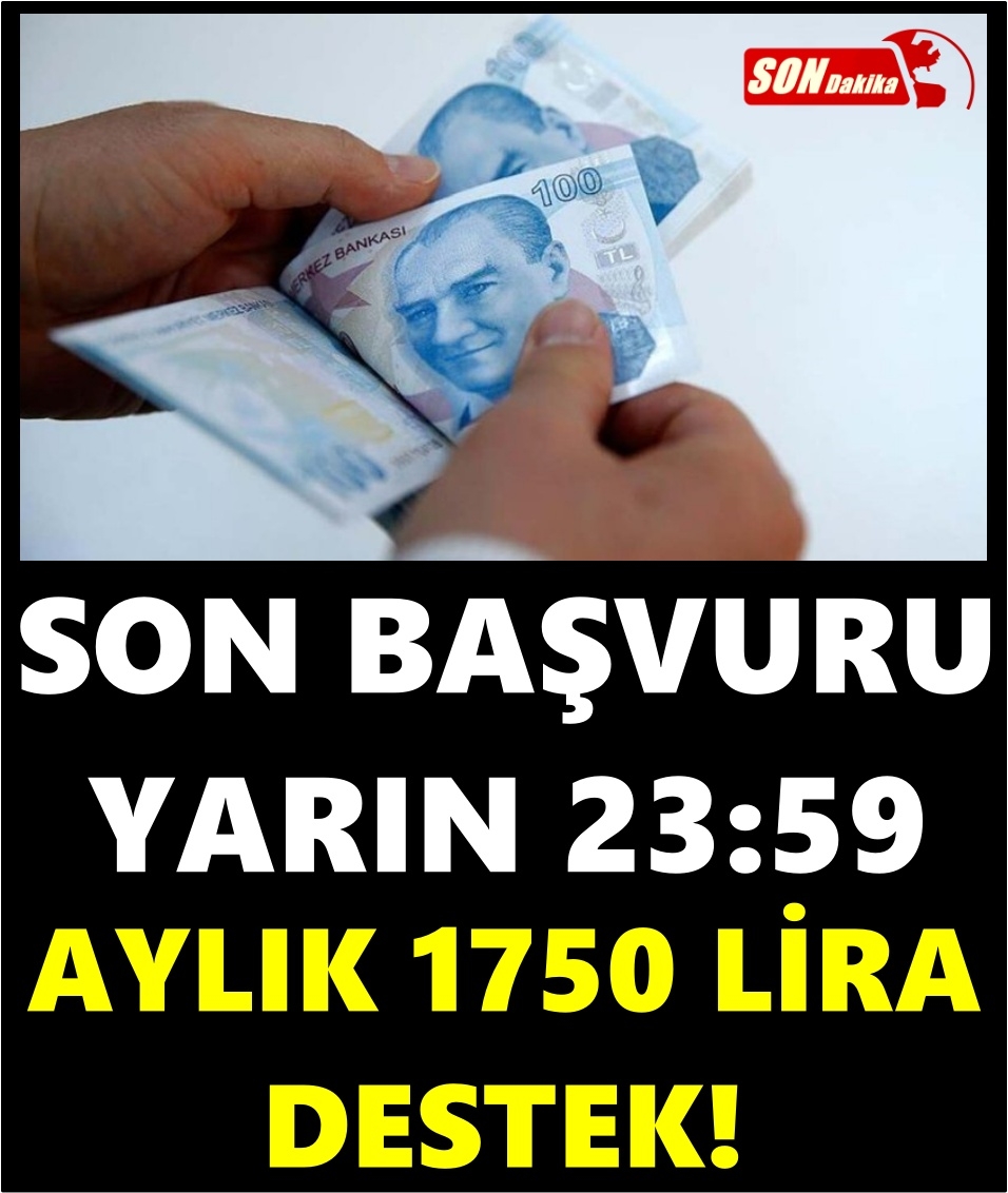 Aylık 1750 lira destek... Son başvuru 11 ocak günü galerisi resim 1