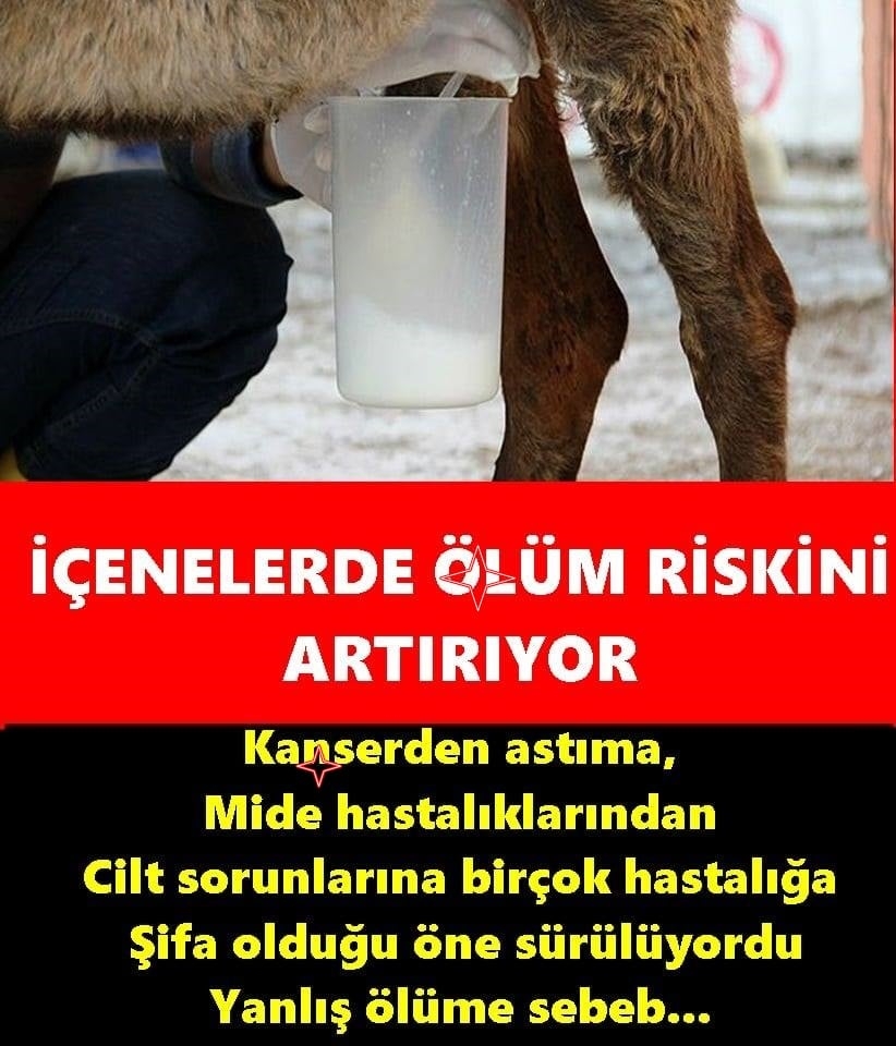 İÇMEYİN galerisi resim 1