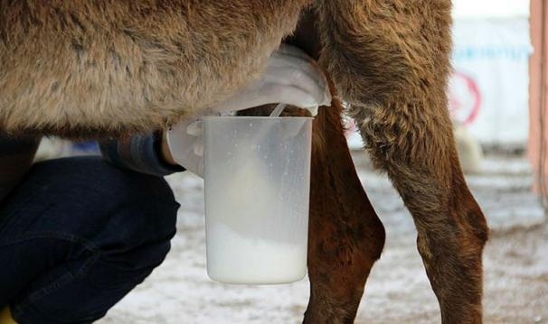İÇMEYİN galerisi resim 3
