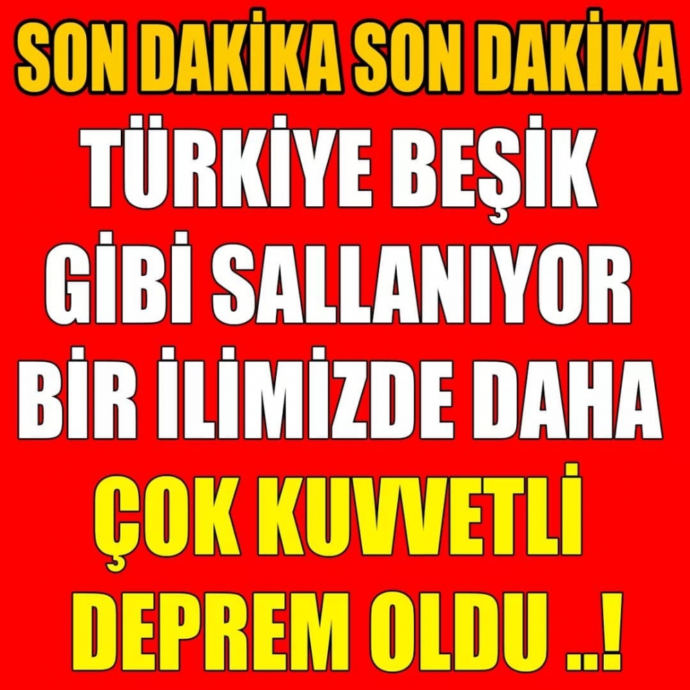 Sallandık galerisi resim 1