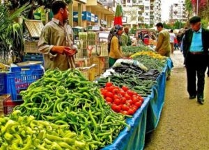 Başkan Erdoğan emri verdi galerisi resim 2