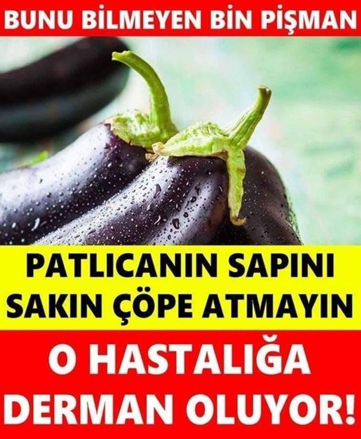 Patlıcan sapının bilinmeyen faydaları galerisi resim 1