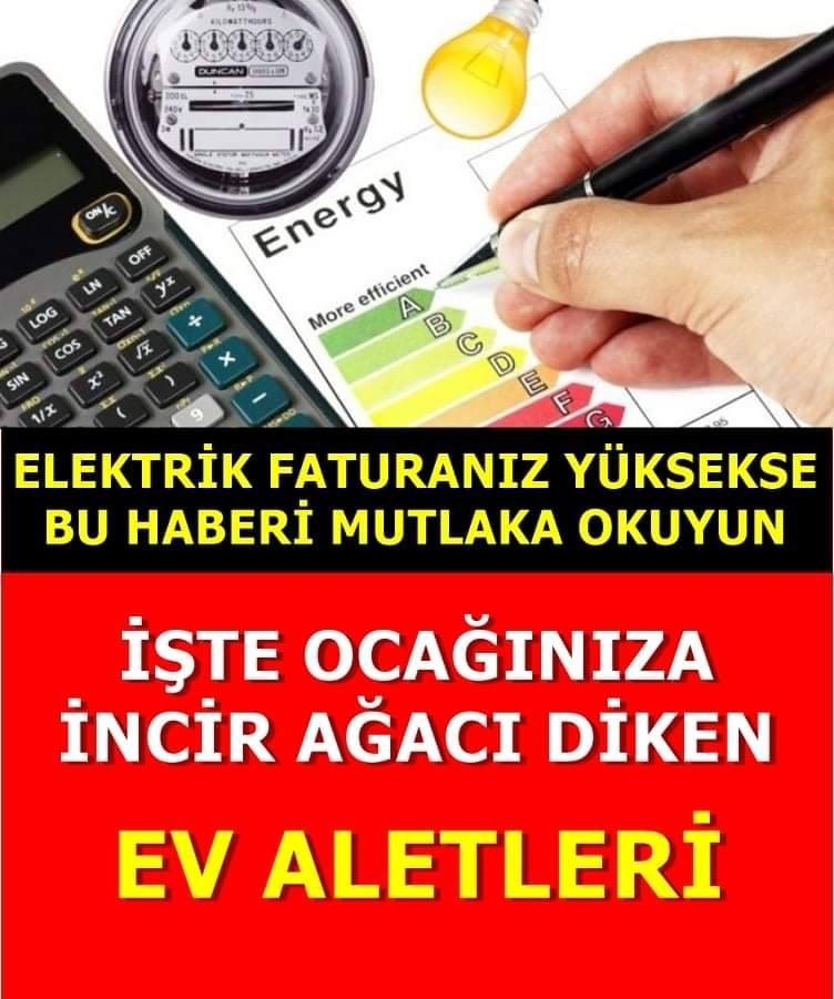 İşte ocağınıza incir ağacı diken elektrikli ev aletleri! galerisi resim 1