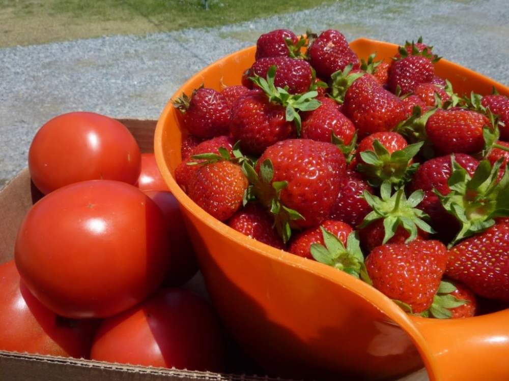 Diş Hekimleri Bunun Bilinmesini İstemez galerisi resim 5