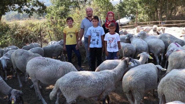 ÇANAKKALE'Lİ AİLENİN İŞLERİ. galerisi resim 4