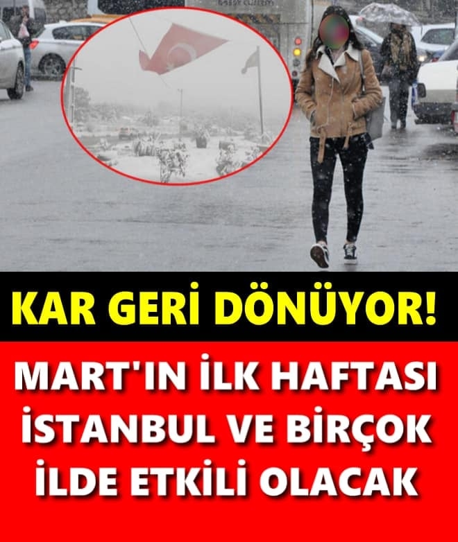 Geri  Geliyor galerisi resim 1