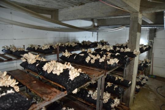 Siparişlere yetişemiyor! Ayda 45 bin lira kazandı galerisi resim 2