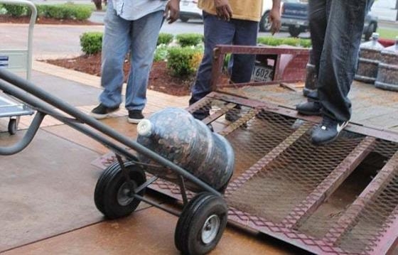 Küçük Dilini Yutuyordu! galerisi resim 4