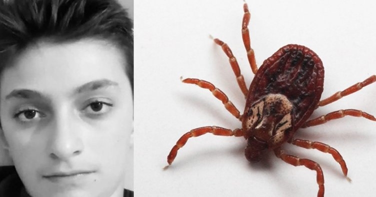 Uzmanlar uyarıyor galerisi resim 4