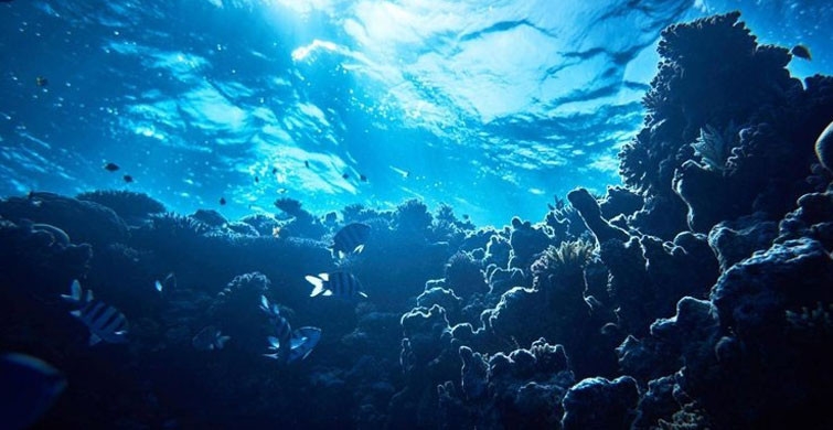 Başına Öyle Bir Şey Geldi ki galerisi resim 2