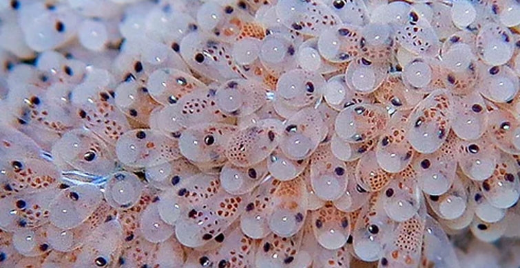 Başına Öyle Bir Şey Geldi ki galerisi resim 3