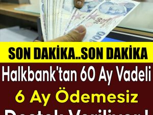 6 Ay Ödemesiz Destek Veriliyor !