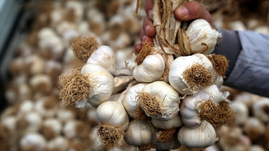 Korona Tedavisinde Kullanmaya Başladı! galerisi resim 16