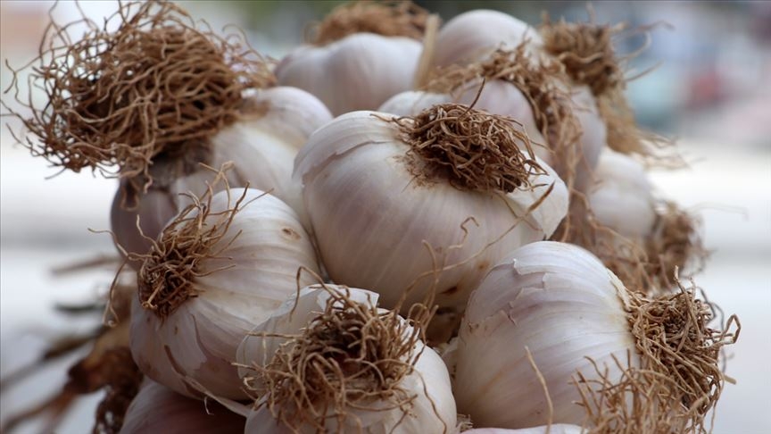 Korona Tedavisinde Kullanmaya Başladı! galerisi resim 5