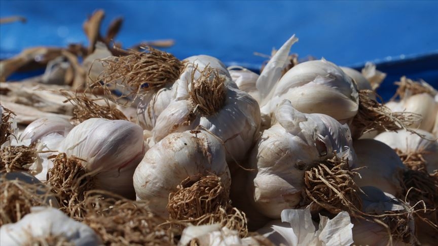 Korona Tedavisinde Kullanmaya Başladı! galerisi resim 6