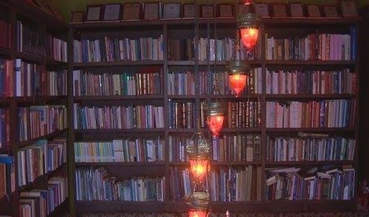 Yaşar Alptekin Kimdir? galerisi resim 10