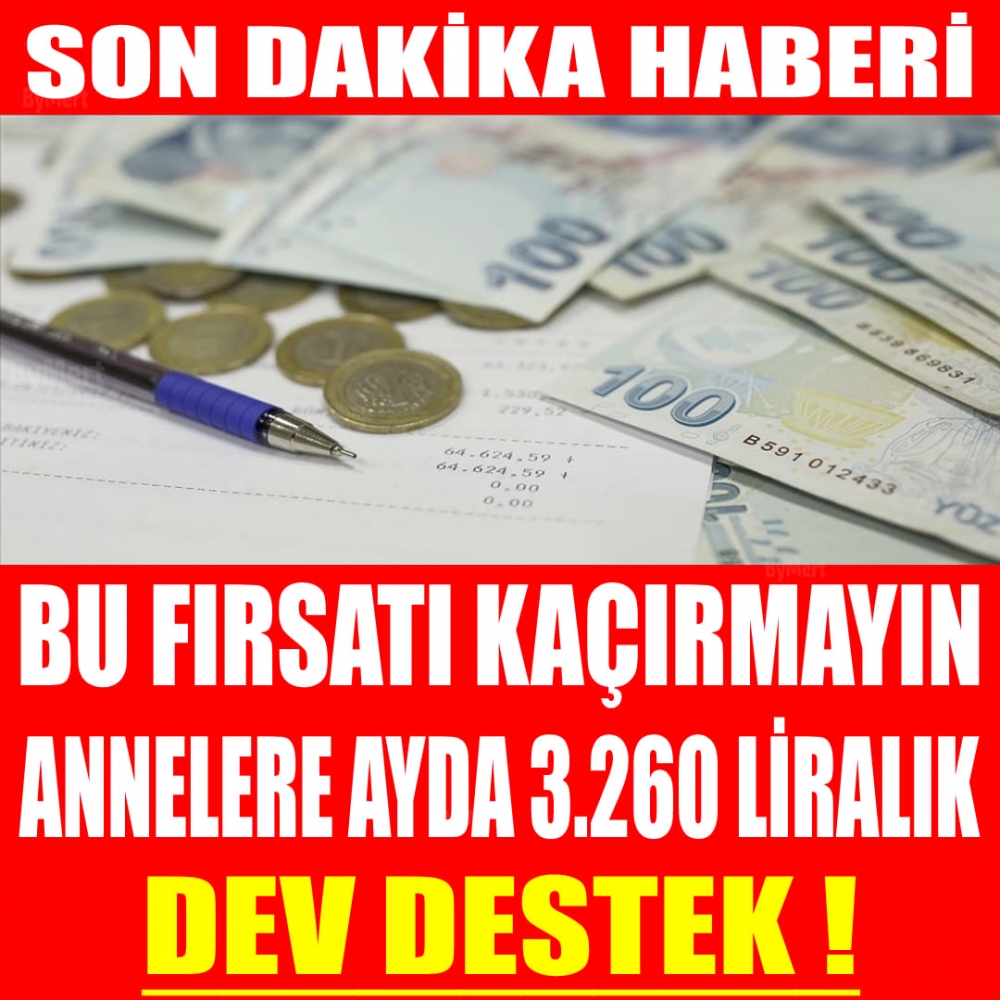 Dev Destek! galerisi resim 1