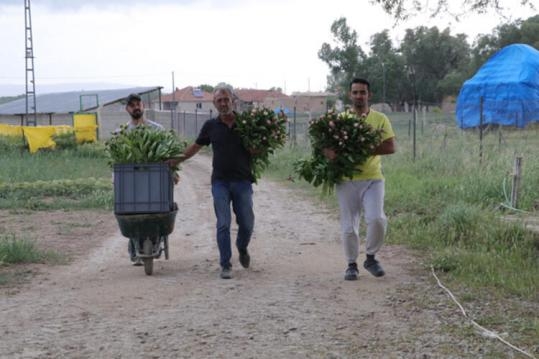 Şimdi sipariş yağıyor. galerisi resim 2