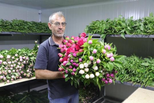 Şimdi sipariş yağıyor. galerisi resim 3