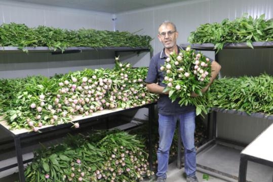 Şimdi sipariş yağıyor. galerisi resim 8