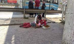 Neden Sürekli Uyur? galerisi resim 6