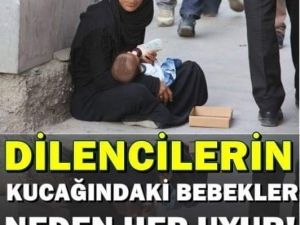 Neden Sürekli Uyur?