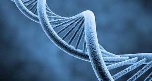 Kilosundan şikayet edenler galerisi resim 1