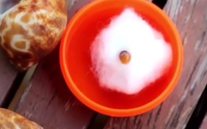 İçinden Çıktı! galerisi resim 3