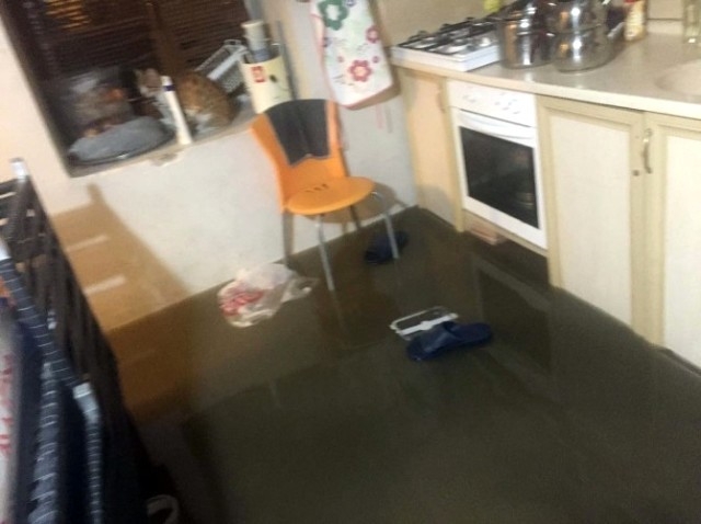 Evi İçler Acıtıyor! galerisi resim 11