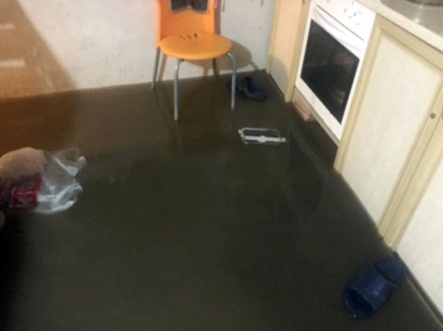 Evi İçler Acıtıyor! galerisi resim 4