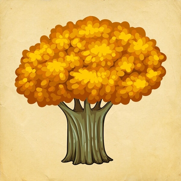 Bir Ağaç Seçin galerisi resim 2