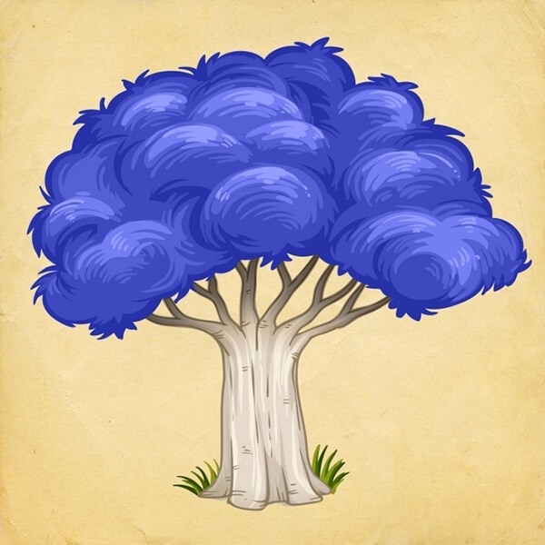 Bir Ağaç Seçin galerisi resim 6