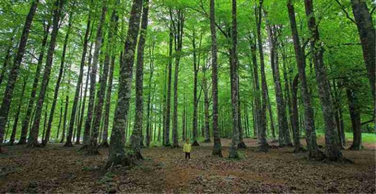 Çıkışlar Kapatıldı galerisi resim 2