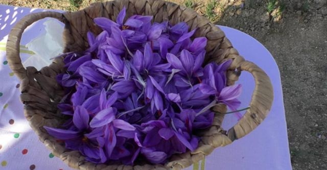 Kilosu 50.000TL galerisi resim 2