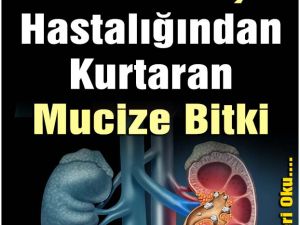 Bu bitki sizi kuratacak.