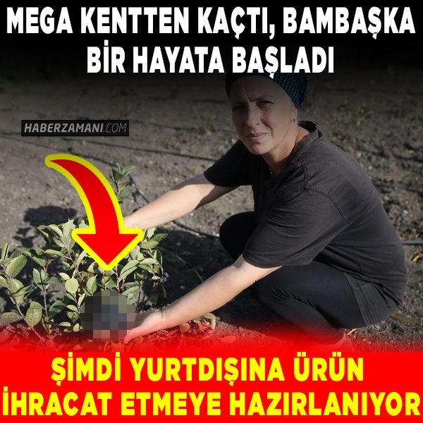 Şimdi yurtdışına ihracata hazırlanıyor galerisi resim 1