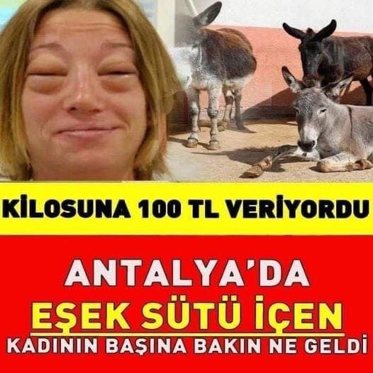 EŞEK SÜTÜ galerisi resim 1